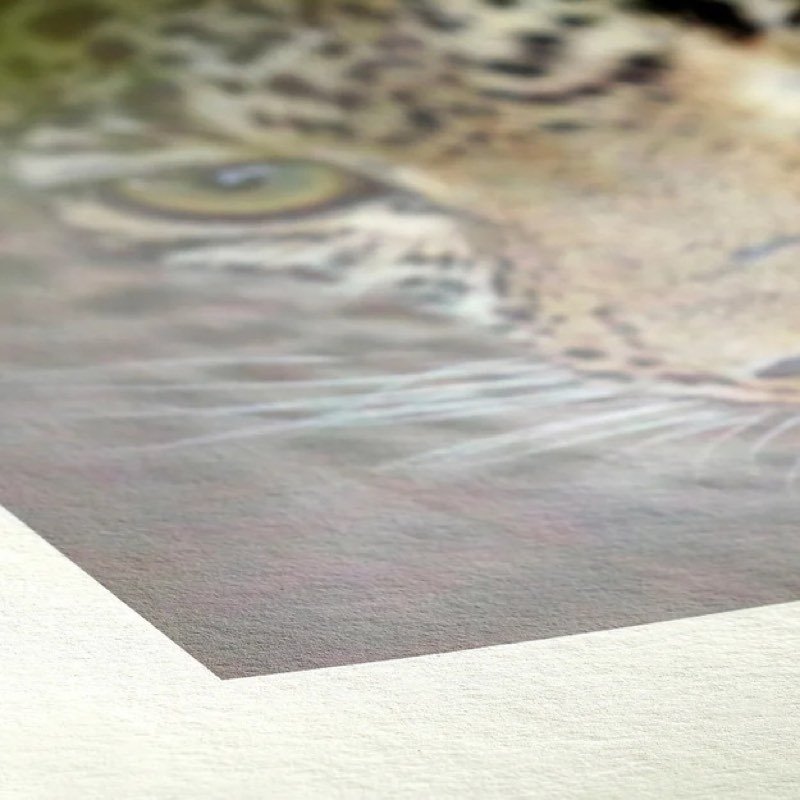 Detalhe da textura do papel Hahnemühle Bamboo impresso