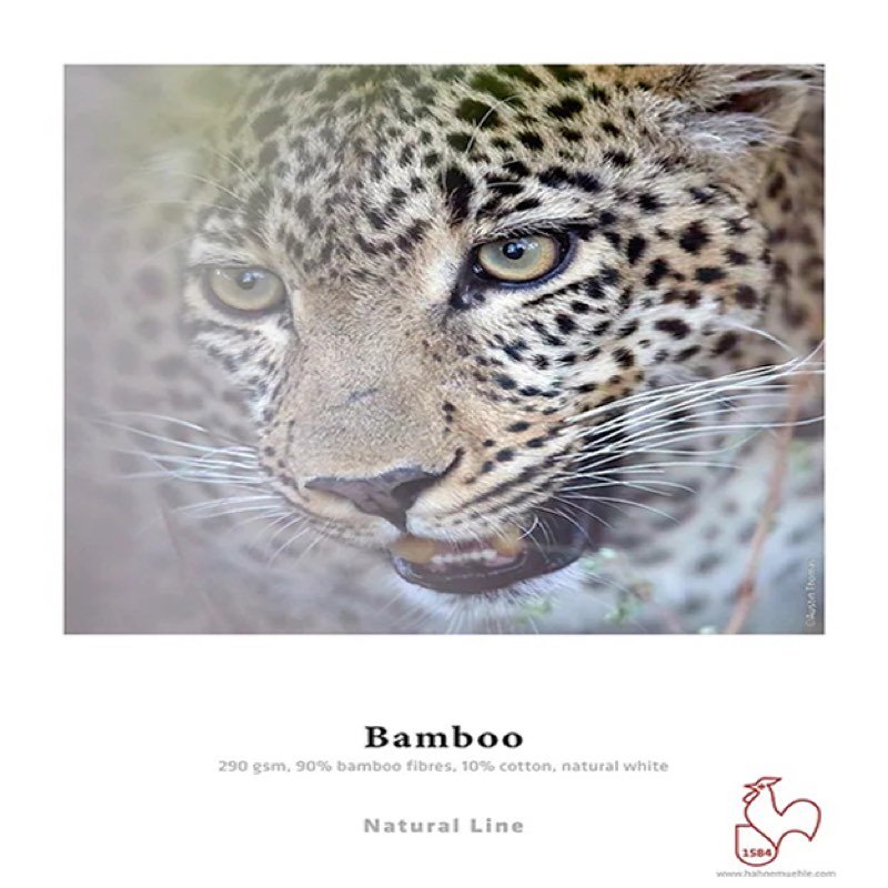 Amostra do papel Hahnemühle Bamboo